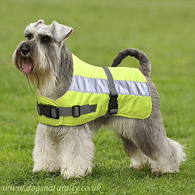 Flecta Hi Visibility Dog Coat (Yellow)